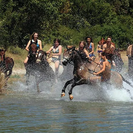 Ii * Manjadvorci