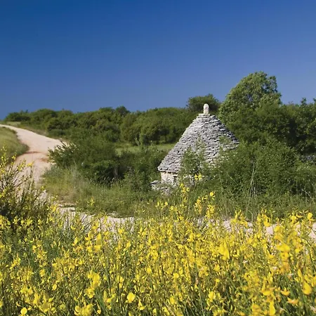 3 Bedroom Lovely In Holiday home *